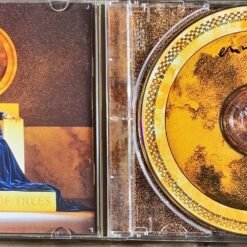 Alternative view of Enya - The Memory of Trees